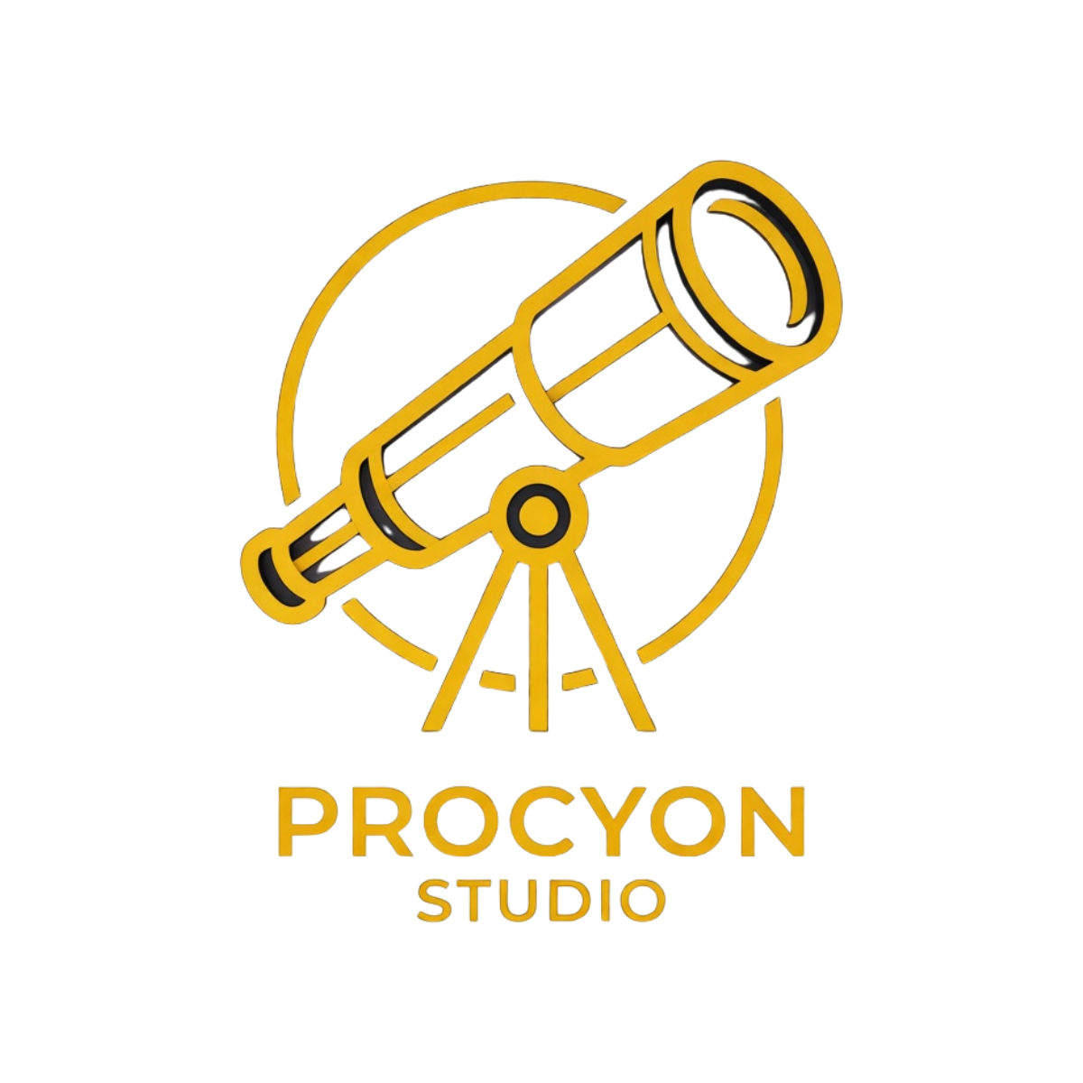 Procyon Studio